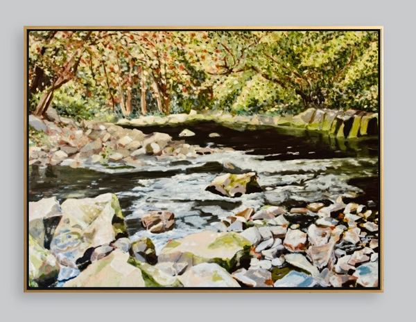 Savage River