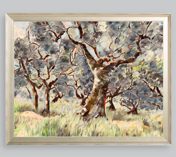 Umbrian Olive Grove