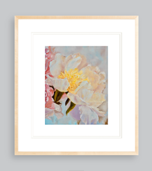 Peony Whisper