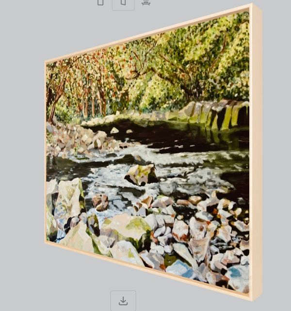 Savage River