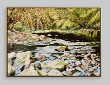 Savage River