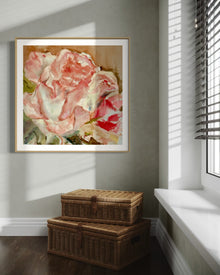 Solstic Rose