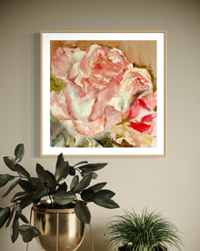 Solstic Rose