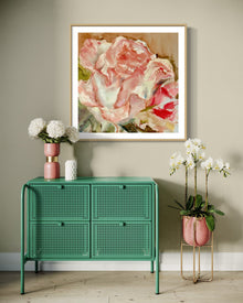 Solstic Rose