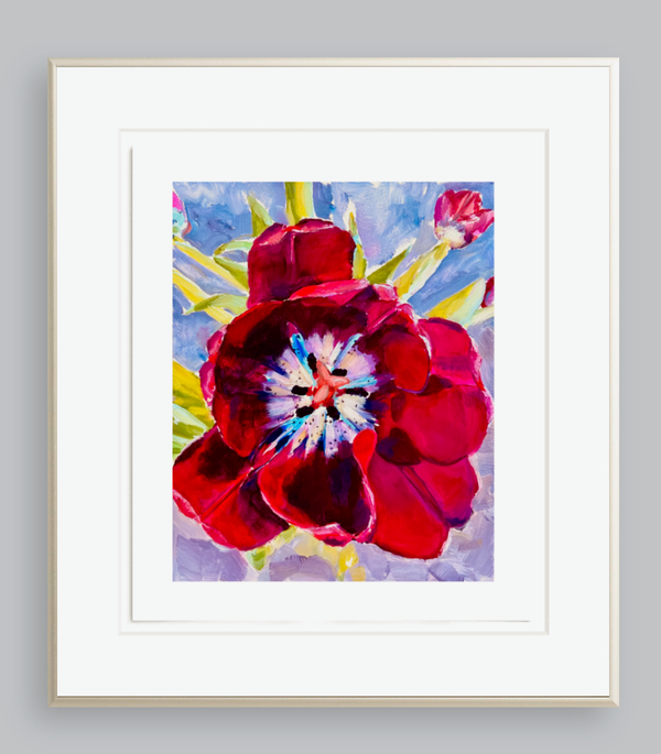 Fine Art Print - Starburst by Juliane Porter