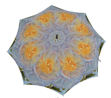 Soul Fire — Umbrella