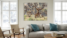 Umbrian Olive Grove
