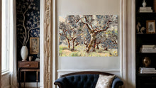 Umbrian Olive Grove