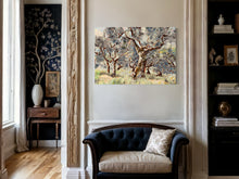 Umbrian Olive Grove