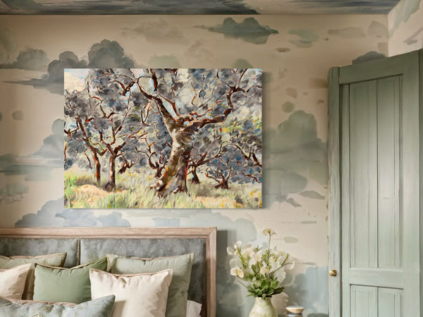 Umbrian Olive Grove
