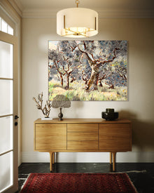 Umbrian Olive Grove