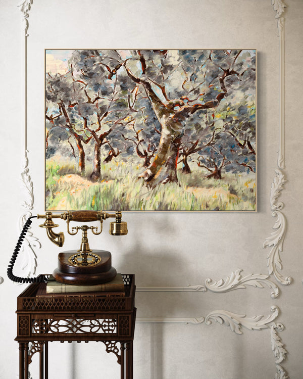 Umbrian Olive Grove