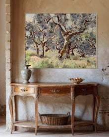 Umbrian Olive Grove