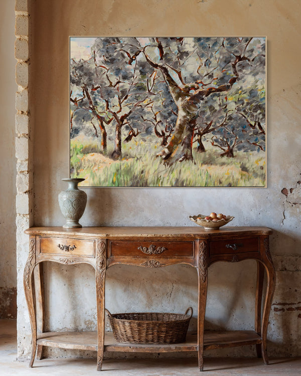 Umbrian Olive Grove