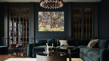 Umbrian Olive Grove